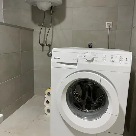 Lion King Apartment